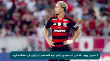 6 ملايين يورو.. الأهلي السعودي يضم نجم فلامنجو البرازيلي في صفقة مثيرة.